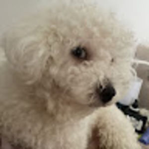 Meet your Posher, Blie